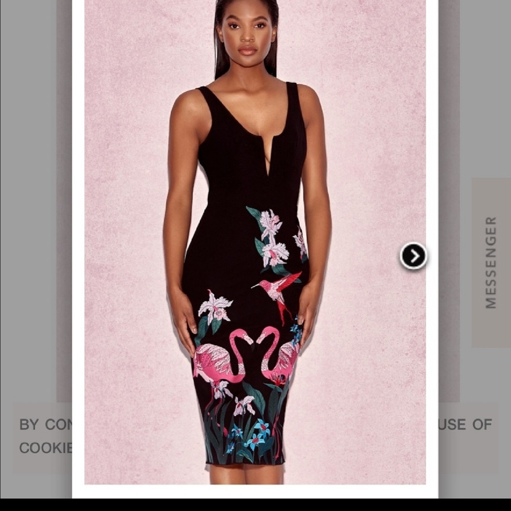 Brand new House of CB Black Dress w/ Embroidery